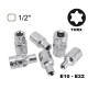 SET 6 BUSSOLE TORX FEMMINA E10 - E22 ATTACCO DA 1/2 IN ACCIAIO CHROME VANADIUM